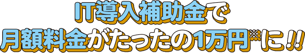 IT導入補助金で月額料金がたったの1万円に!!